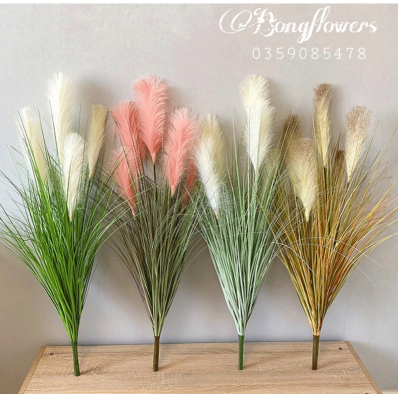 Cành lau giả - cành lau giả Bongflower 5 bông dài 100cm decor siêu xinh