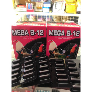 Mega-B12-Tăng,nước máu-nhanh