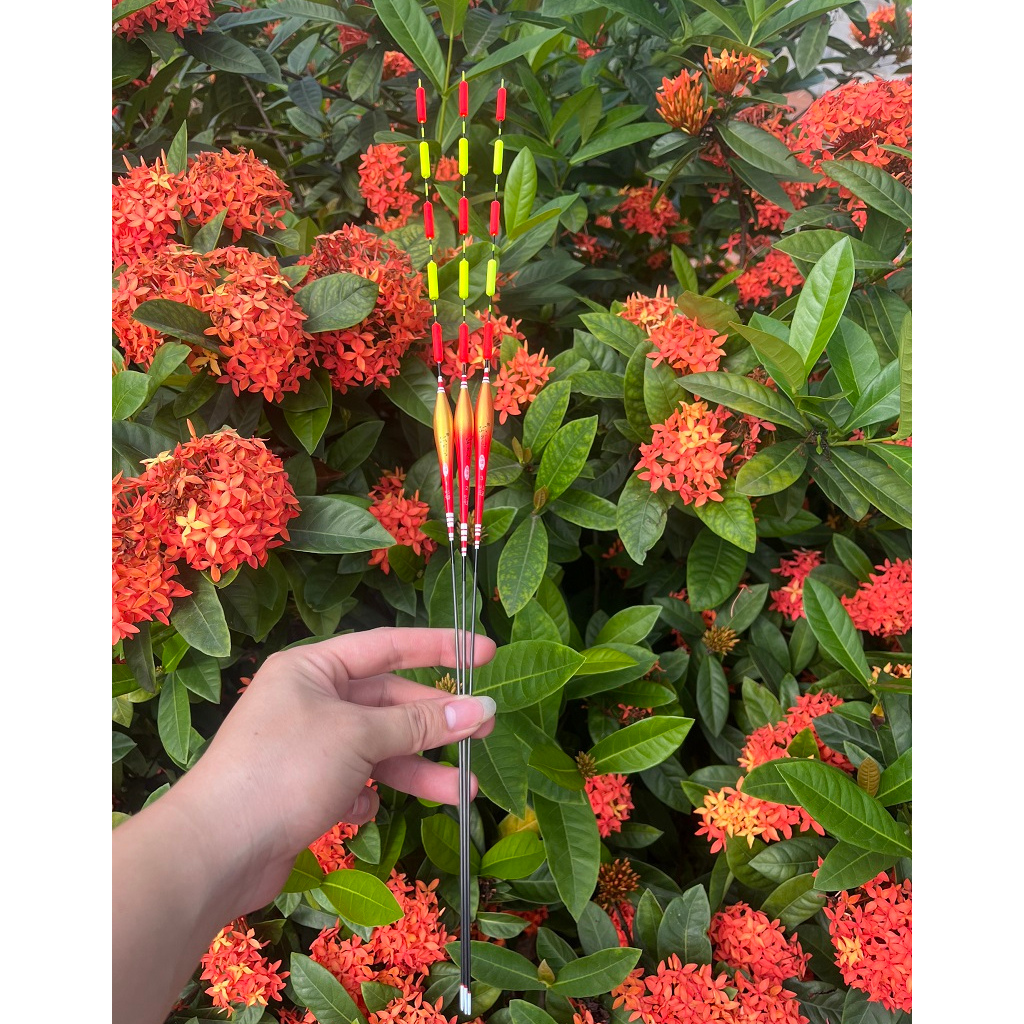 Phao Hố Đấu Mỹ Nhân Ngư mã D101 - PT078