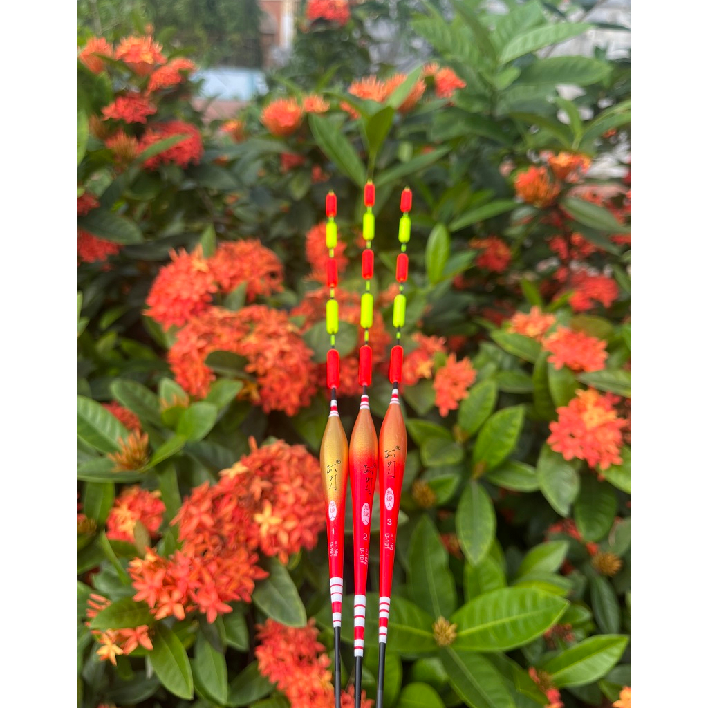 Phao Hố Đấu Mỹ Nhân Ngư mã D101 - PT078