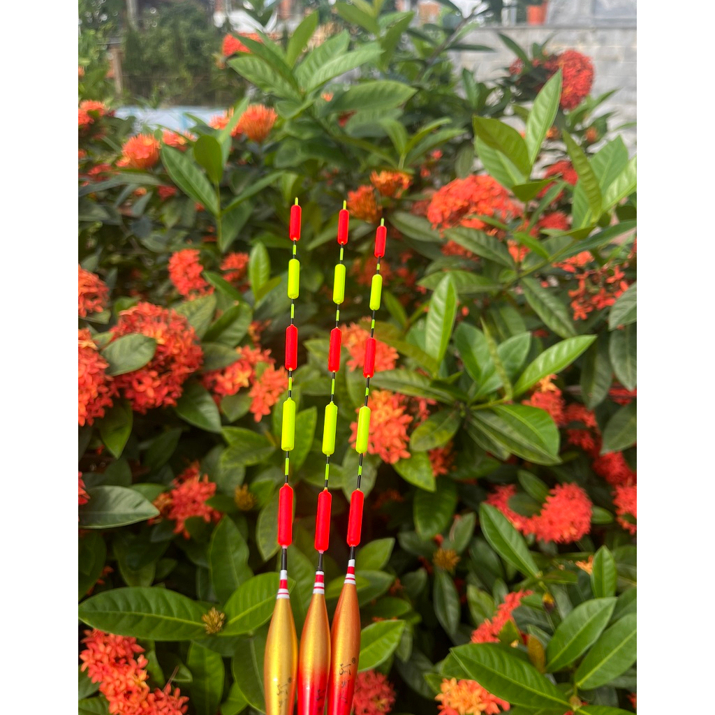 Phao Hố Đấu Mỹ Nhân Ngư mã D101 - PT078