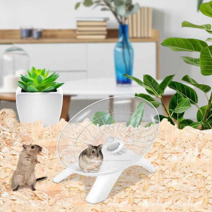 Đồ chơi cho hamster, đĩa chạy cho hamster tập thể dục