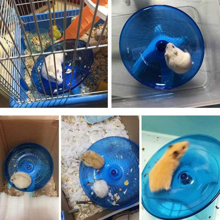 Đồ chơi cho hamster, đĩa chạy cho hamster tập thể dục