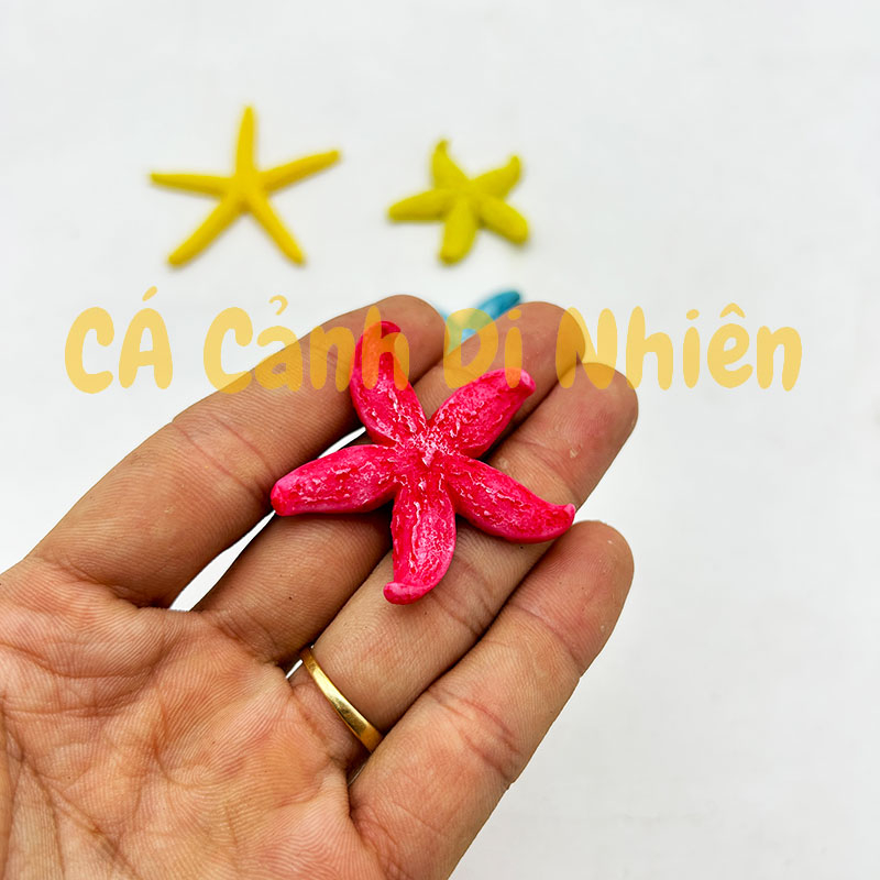 Mô hình SAO BIỂN bằng nhựa trang trí tiểu cảnh hồ cá Terrarium