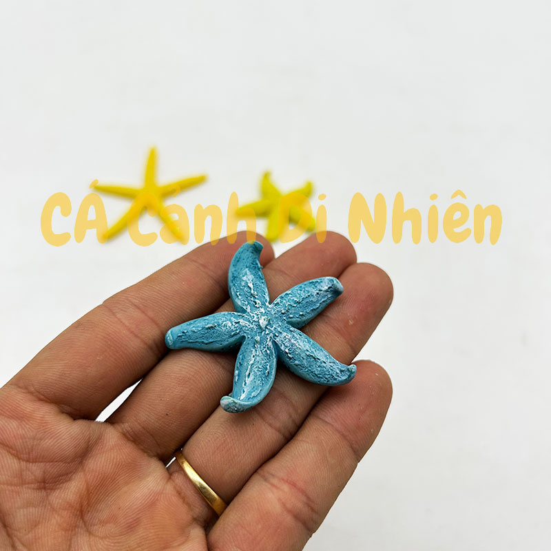 Mô hình SAO BIỂN bằng nhựa trang trí tiểu cảnh hồ cá Terrarium