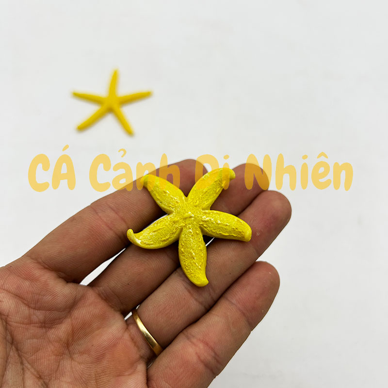 Mô hình SAO BIỂN bằng nhựa trang trí tiểu cảnh hồ cá Terrarium