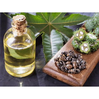 dầu thầu dầu 10ml/50ml/100ml