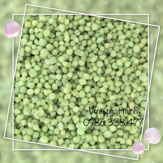 Phân dap 19-46-0 phân tiêu xanh 1kg