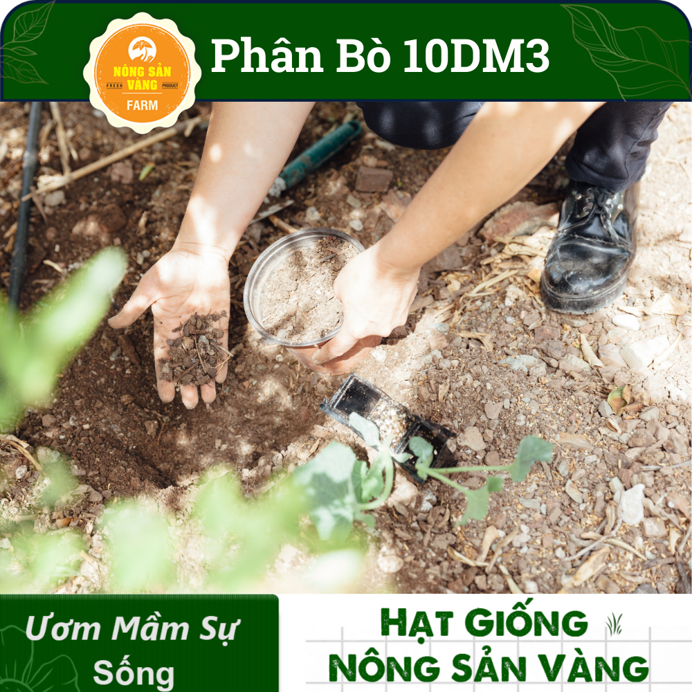 Phân Bò Hữu Cơ Không Mùi Hôi 10dm3, Thích Hợp Cho Việc Trồng Rau Sạch, Cây, Hoa - Nông Sản Vàng