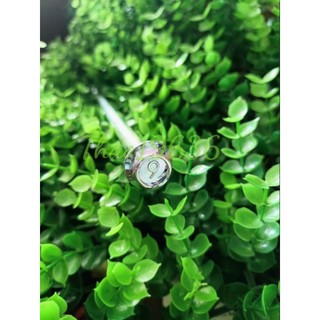 Cốt máy dưới Xipo ( Cốt dài )