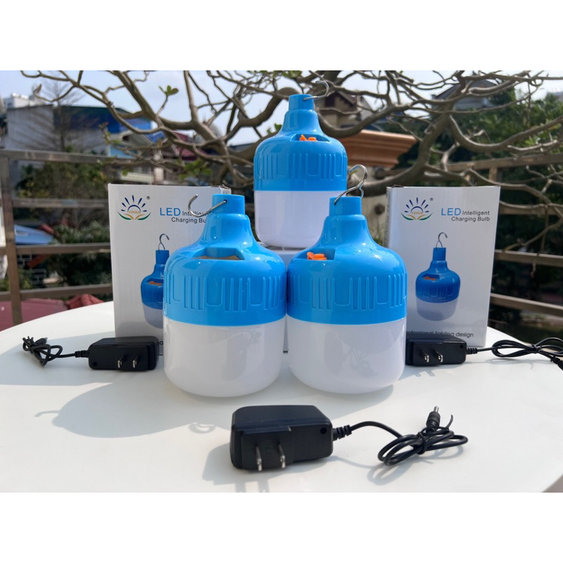Bóng tích điện 500w