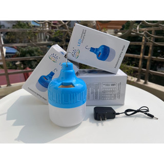 Bóng tích điện 500w