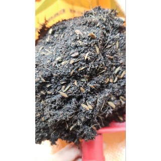 1kg đất sạch hữu cơ giàu dinh dưỡng trồng rau màu hoa kiểng