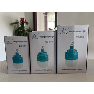 Bóng tích điện 500w