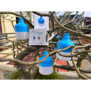 Bóng tích điện 500w