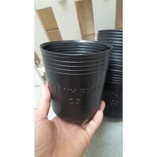 10 chậu nhựa ươm cây 11x11cm chậu c5
