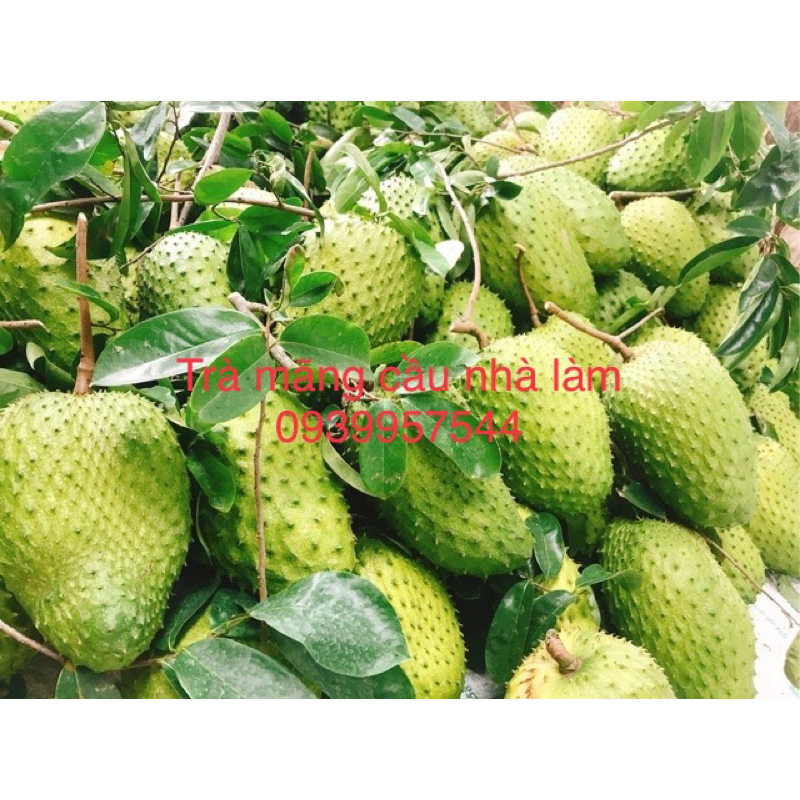 Trà mãng cầu xiêm 500gr