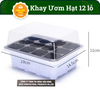 Khay Chuyên Dùng Ươm Hạt Giống 12 Lỗ, Giúp Cho Hạt Nảy Mầm Tốt, Có Nắp Bảo Vệ Hạt Giống - Nông Sản Vàng