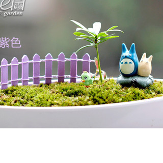 HÀNG RÀO TRANG TRÍ CHẬU CÂY