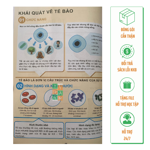 Sách - Tóm tắt lý thuyết Khoa học tự nhiên lớp 6