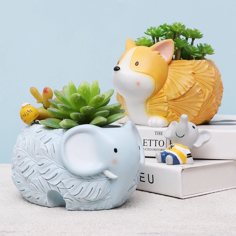 CHẬU THÚ TRỒNG SEN ĐÁ, TRANG TRÍ, QUÀ TĂNG