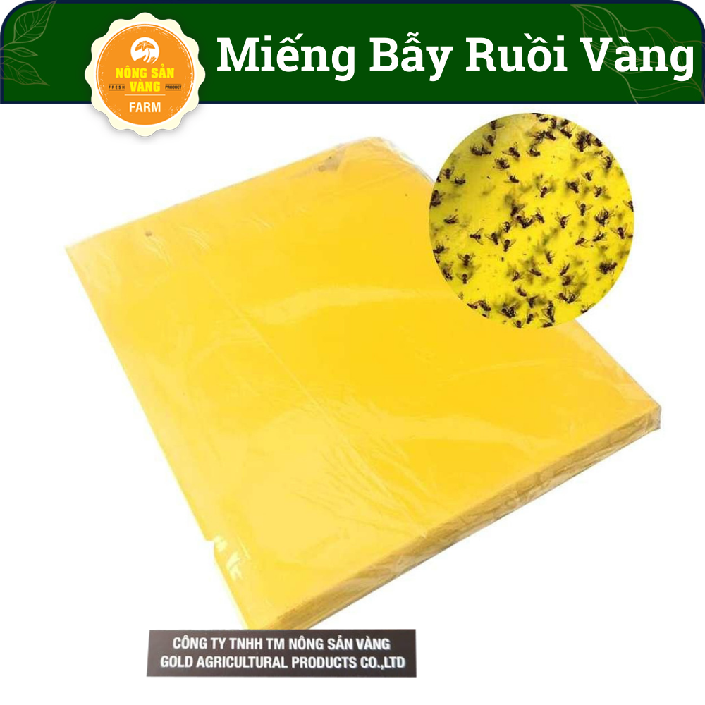 Miếng Dán Bẫy Ruồi Vàng, Côn Trùng Hại Cây Trồng siêu Dính (20*10 cm) , Tấm Dính Ruồi Muỗi Bọ, Keo Bẫy Ruồi Dấm