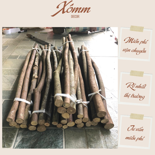 Cành củi khô (Bó 5 cành ) Decor trang trí nhà cửa,noel, lò sưởi, Đường  Kính 2-3cm, Dài 30-100cm