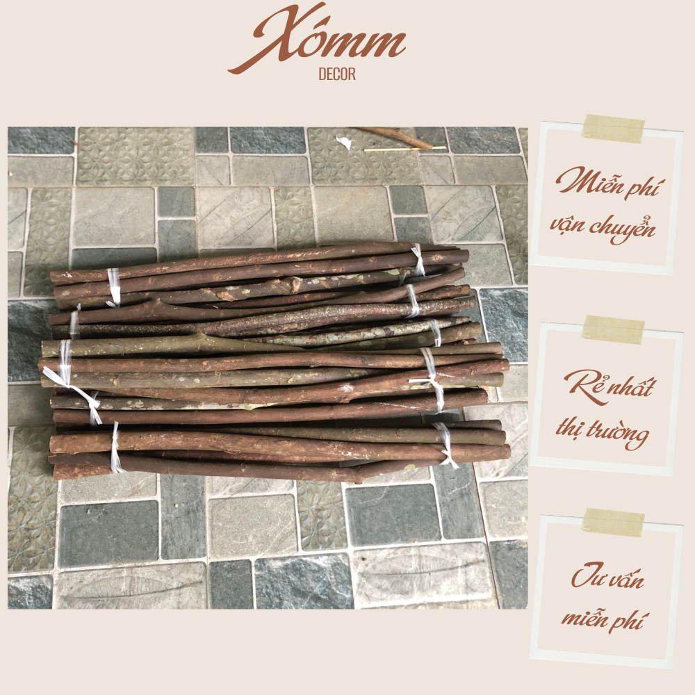 Cành củi khô  Decor trang trí nhà cửa,noel, lò sưởi, Đường  Kính 2-3cm, Dài 30-100cm
