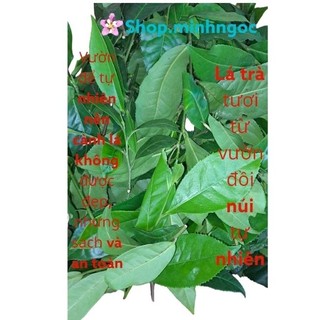 Lá chè xanh tươi, trà sạch, trà tự nhiên. 1kg