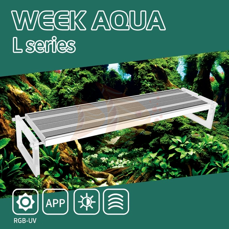 ĐÈN WEEK L PRO SERIES - ĐÈN THỦY SINH KÍCH MÀU CHO CÂY VÀ CÁ