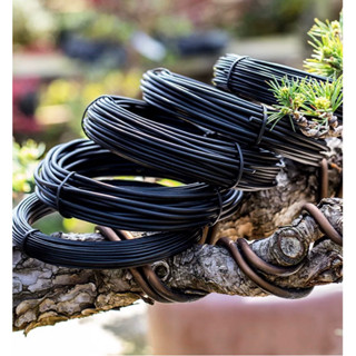 DÂY NHÔM ĐEN UỐN CÂY