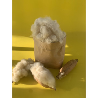 Gòn trái tự nhiên không pha tạp chất