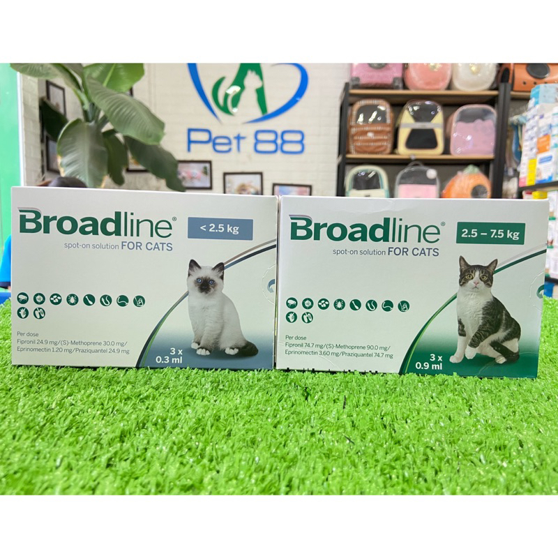 Broadline nhỏ gáy ve, rận, giun tròn, giun móc và sán dây cho mèo
