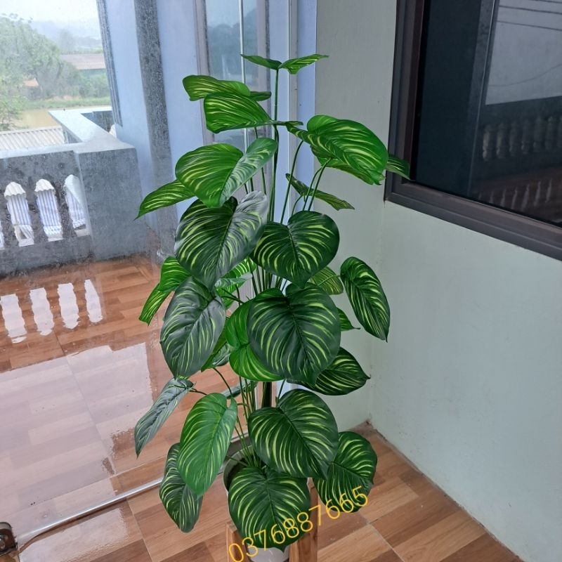 Cây giả  - Cây trầu bà lá sọc 70CM- 1M3, cây môn lá đốm giả decor siêu xinh.