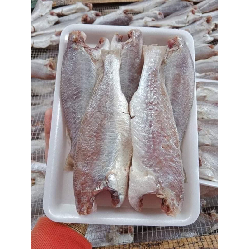 Cá đù 1nắng size vip 10-12 con 1kg