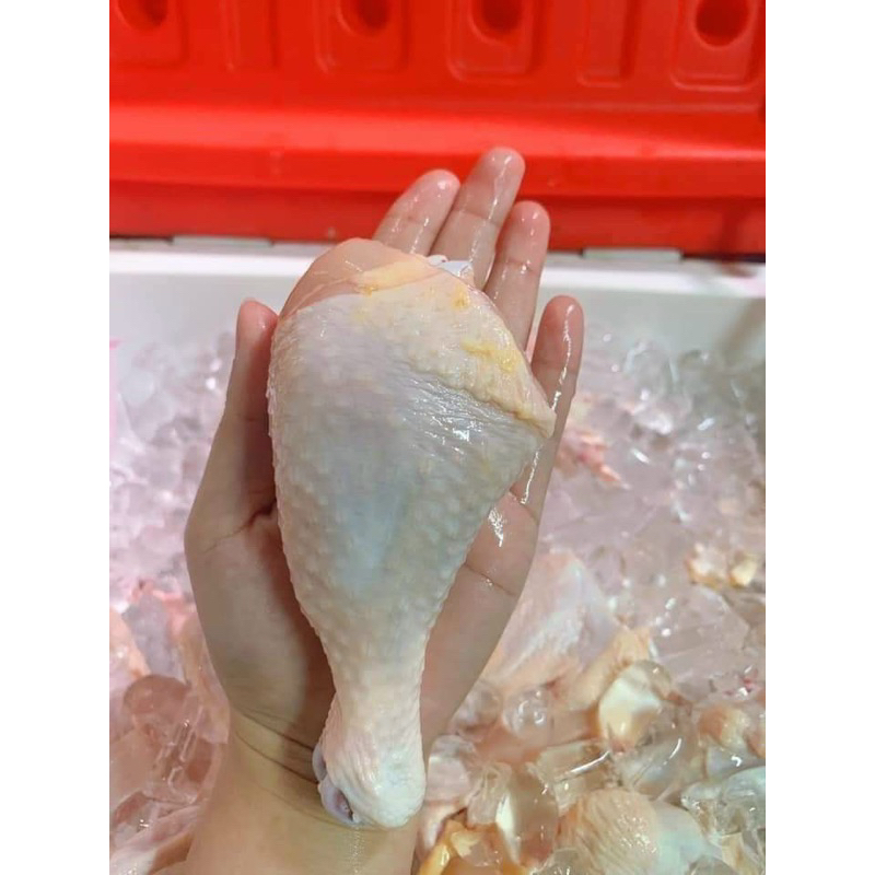 Tỏi gà tươi 1kg to ngon thơm ngọt