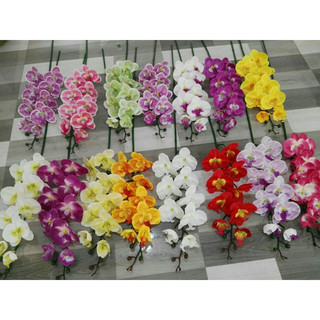 Hoa Lan giả/ Hoa vải lụa- Lan hồ điệp 9b in vân 3D