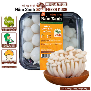 [HCM] Nấm Linh Chi (Ngọc Châm) Trắng Tươi Ngon Ngọt Thanh Sạch - Nông Trại Nấm Xanh