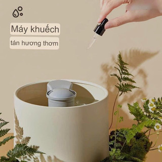 Máy phun sương tạo ẩm Bear
