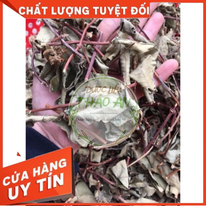 1kg DÂY LÁ HÀ THỦ Ô khô  - cơ sở dược liệu Thảo An
