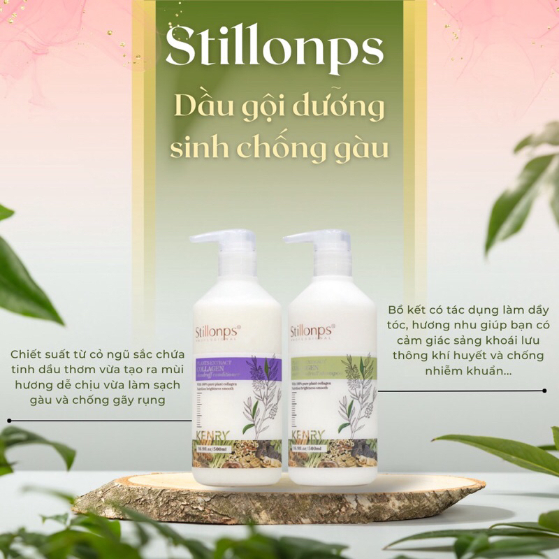 Dầu Gội Dưỡng Sinh STILLONPS KENRY 500ml | Ngăn Ngừa Gàu,Hương thơm nước hoa quyến rũ