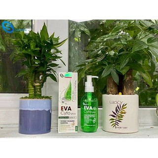 Dung dịch vệ sinh Evagiúp duy trì độ ẩm, cân bằng độ ph, giảm viêm ngứa