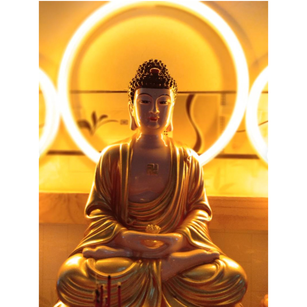 Vòng đèn neon led 12cm