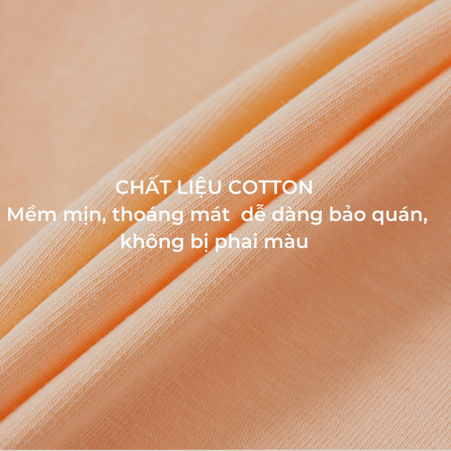 Combo 3 Quần lót nữ Cotton Bradina Japan, thấm hút, co giãn thoải mái, ôm sát QLC5