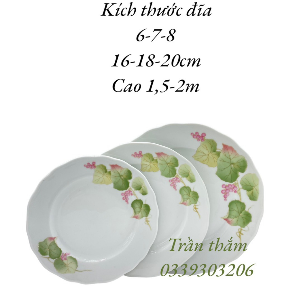 Combo 3 đĩa CK 6-7-8 bông nho