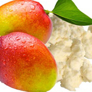 Bơ xoài làm son, làm Mỹ phẩm