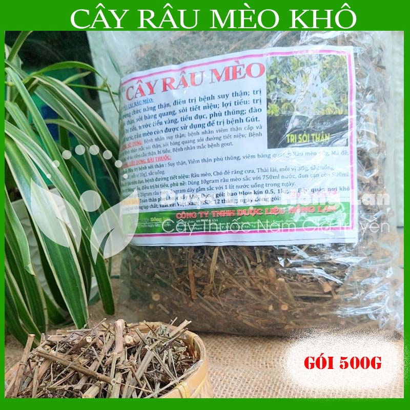 Thảo dược CÂY RÂU MÈO khô sạch đóng gói 500gram - congtyduoclieuhonglan