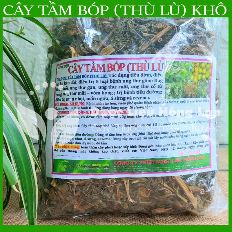 ✅ Trà Cây Tầm Bóp  khô sạch tự nhiên - duoclieuhonglan