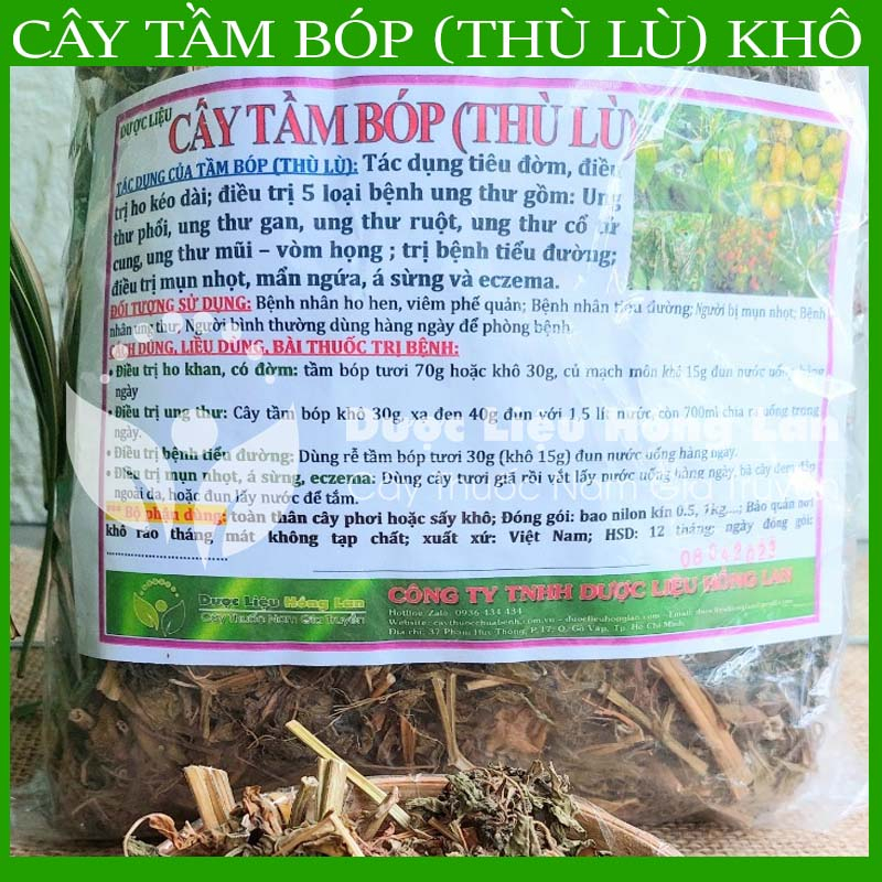✅ Trà Cây Tầm Bóp  khô sạch tự nhiên - duoclieuhonglan
