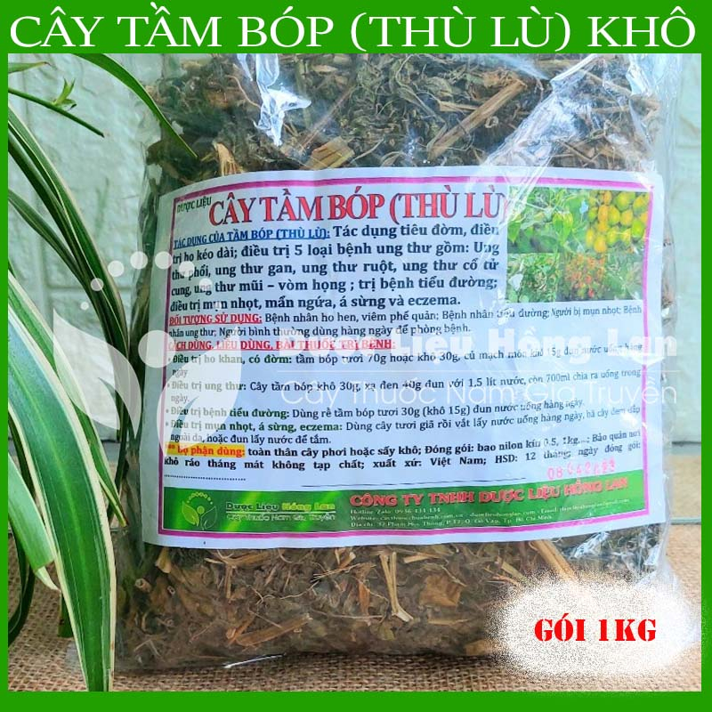 ✅ Trà Cây Tầm Bóp  khô sạch tự nhiên - duoclieuhonglan